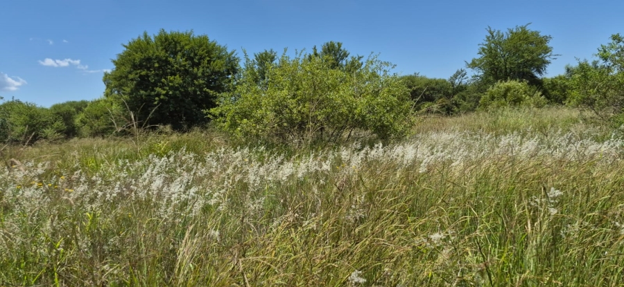 4 Bedroom Property for Sale in Zeerust North West